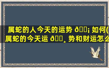 属蛇的人今天的运势 🐡 如何(属蛇的今天运 🕸 势和财运怎么样)